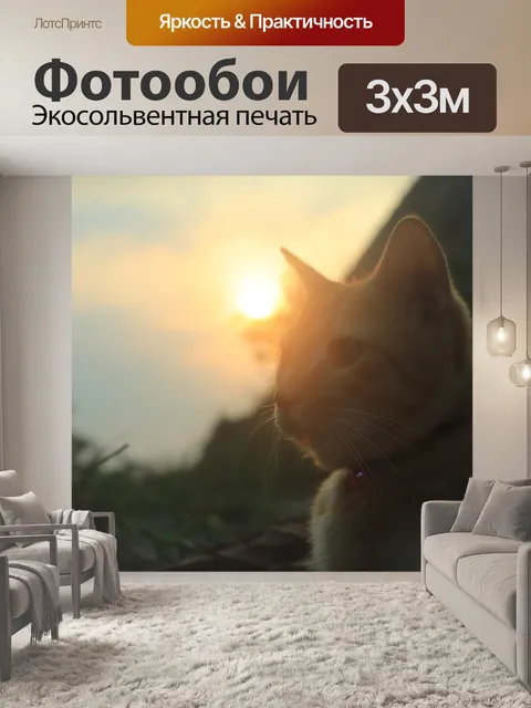 Фотообои Кошка