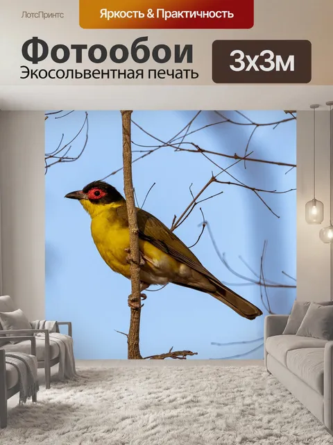 Фотообои Птицы