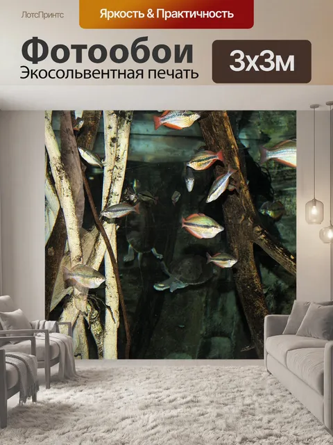 Фотообои Животные
