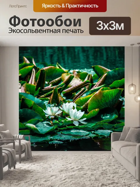 Фотообои Лотос