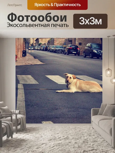 Фотообои Собака