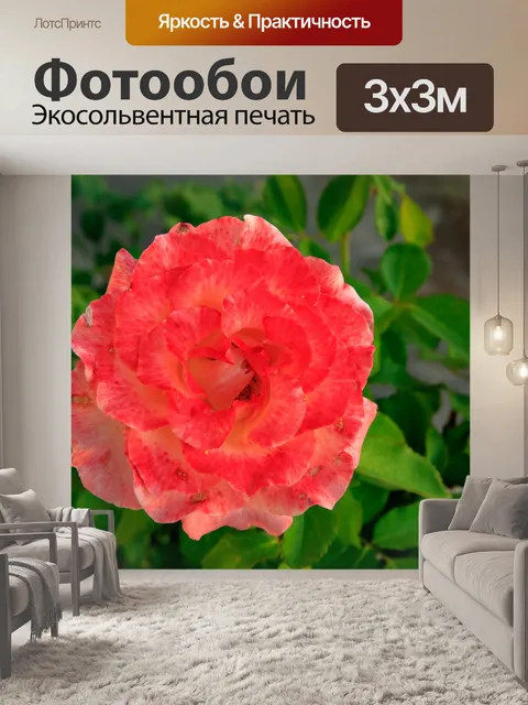 Фотообои Природа Крита