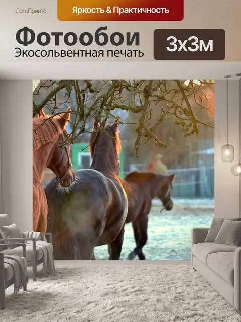 Фотообои Лошади