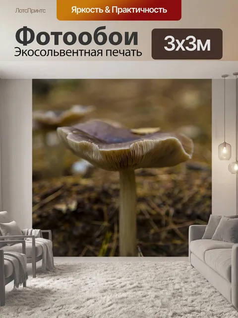 Фотообои грибы