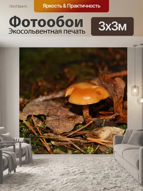 Фотообои Лес