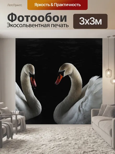 Фотообои Птица