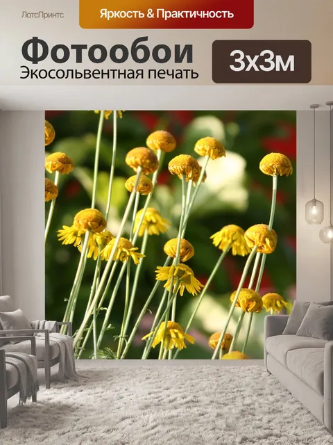 Фотообои Цветы