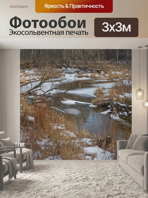 Фотообои Лес