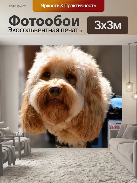 Фотообои Служебная собака