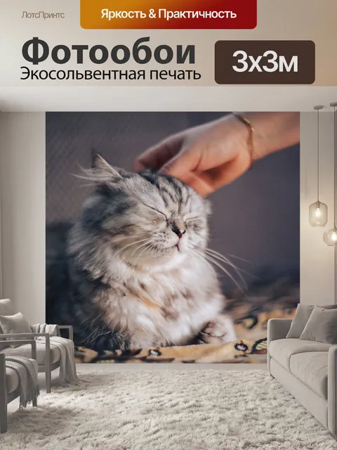 Фотообои Кошка