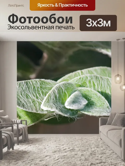Фотообои шерстяная текстура на листьях ушей ягнен