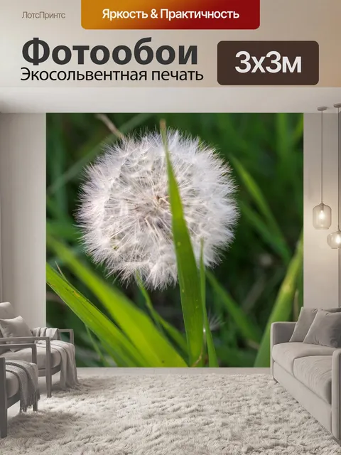 Фотообои Трава