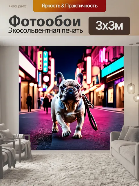 Фотообои вечером, на улицах парижа, французский бульдог прогуливается, таща за собой кожаный поводок