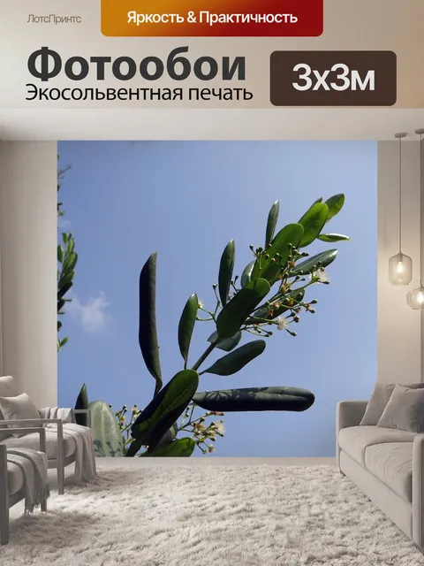 Фотообои Ямайский перец