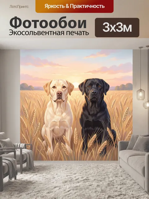Фотообои Два лабрадора в пшеничном поле