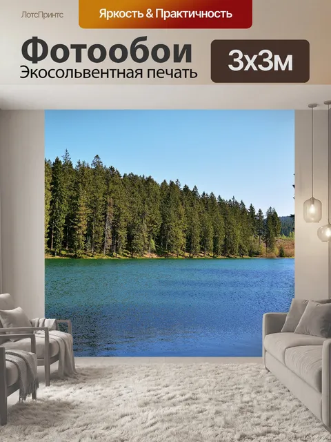 Фотообои Лес
