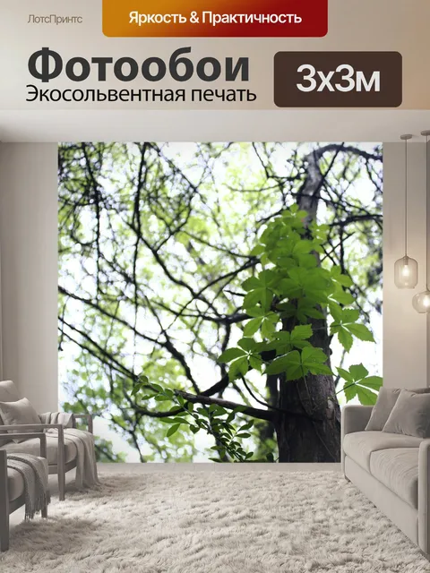 Фотообои Листья