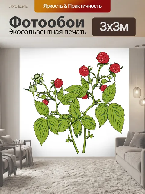 Фотообои Малина фрукты иллюстрации