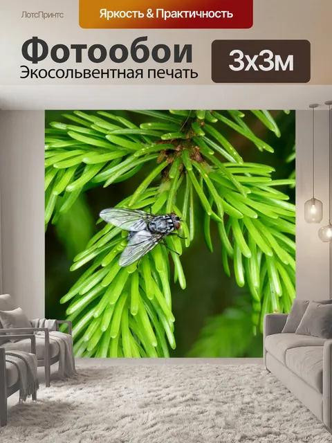 Фотообои Летать