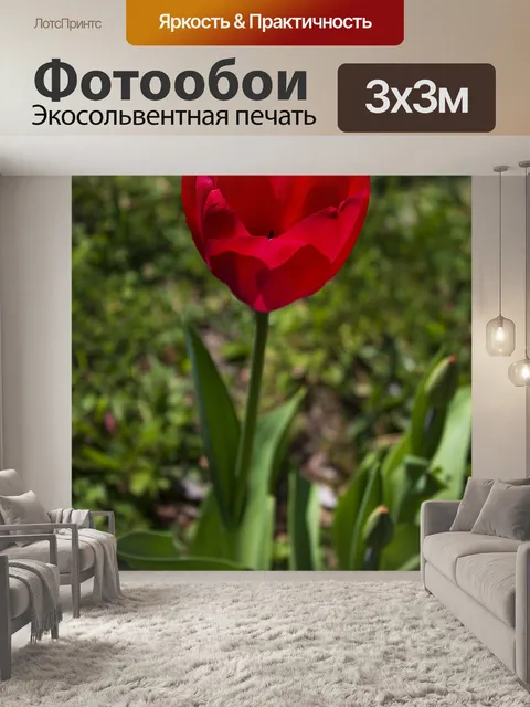 Фотообои Тюльпаны