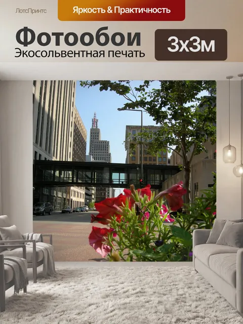 Фотообои Павла Миннесота
