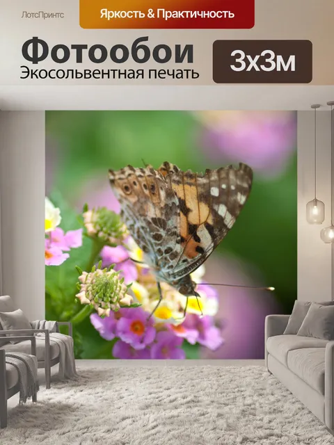 Фотообои Бабочка на работе