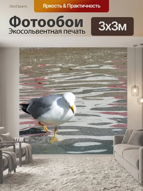 Фотообои Птица