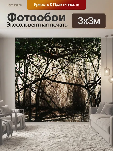Фотообои вид на ветки на фоне света