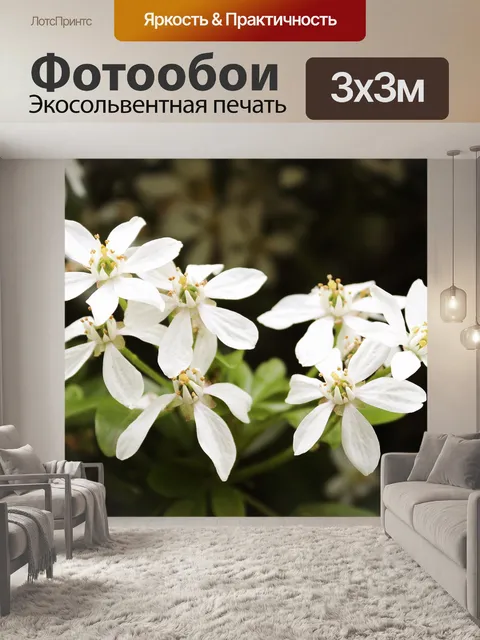 Фотообои Белый