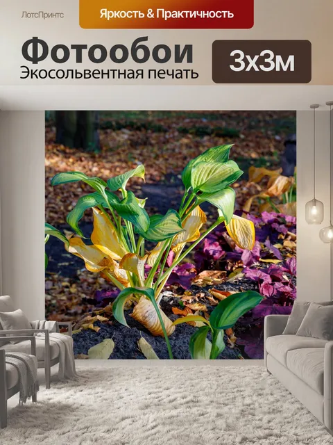 Фотообои Ботанический сад в Быдгоще
