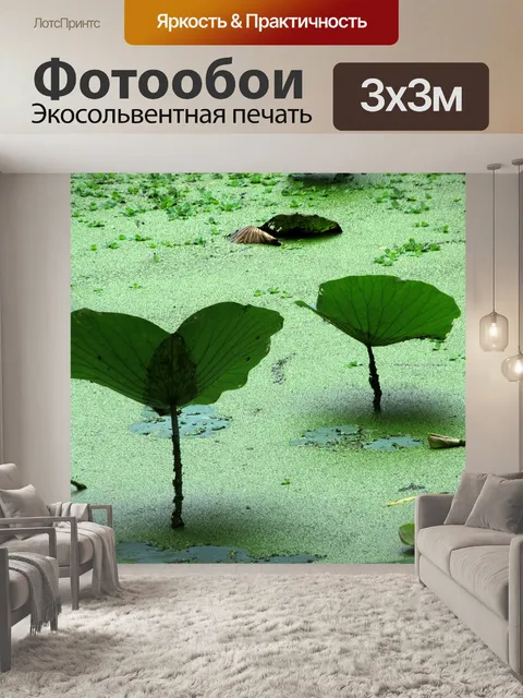Фотообои Водное растение