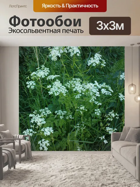 Фотообои Белый Flowers
