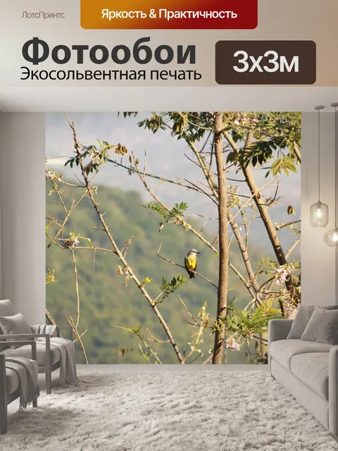 Фотообои Птицы