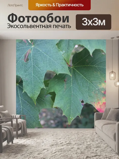 Фотообои Клен