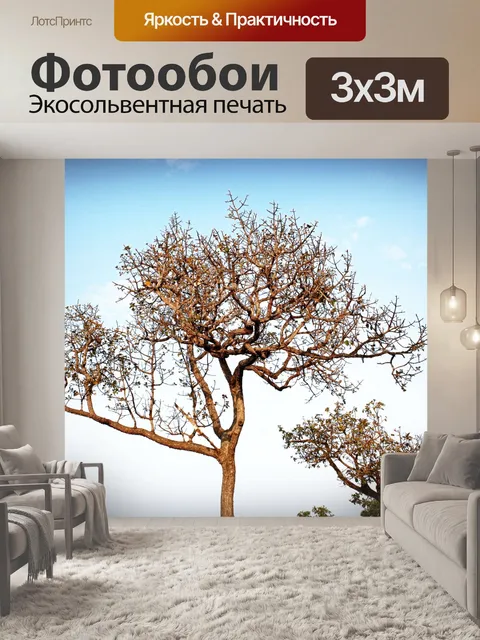Фотообои Силуэт дерева в природе