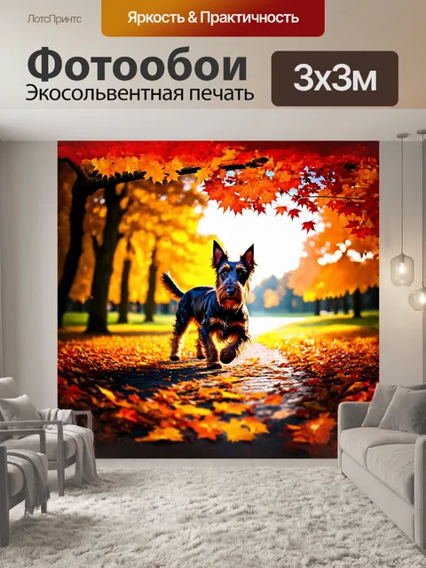 Фотообои шотландский терьер на фоне осеннего парка, среди ярких золотых и красных листьев