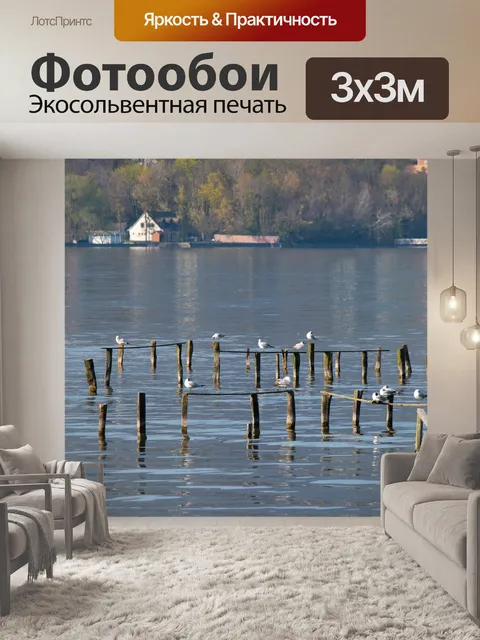 Фотообои Птица