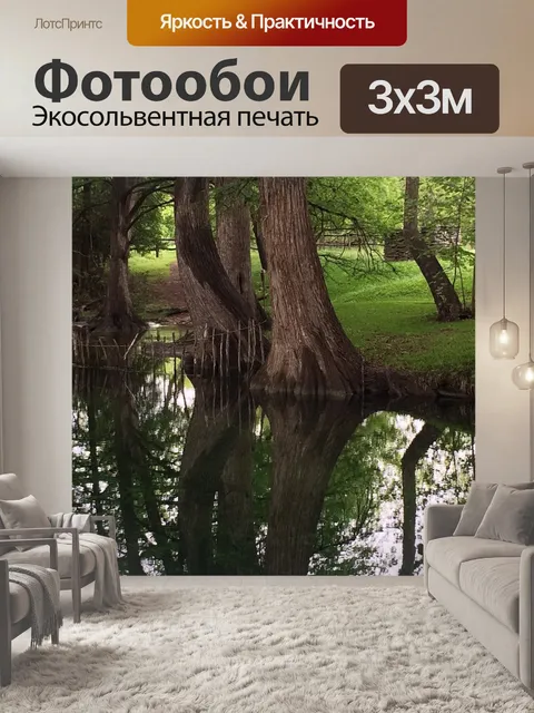 Фотообои Кипарисы