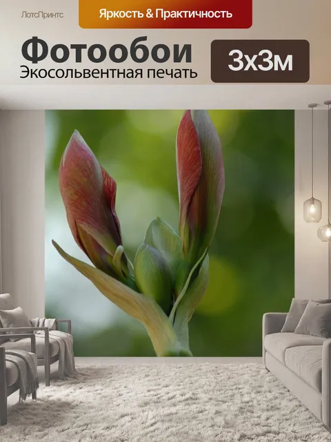 Фотообои Текстура
