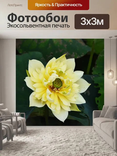 Фотообои Золотой лотос