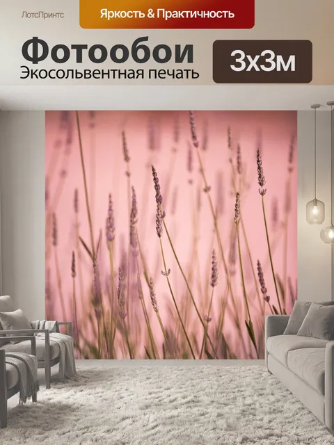 Фотообои лаванда