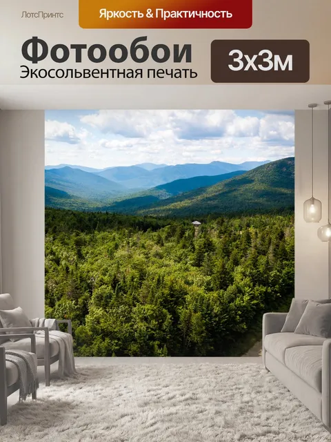 Фотообои Дорога