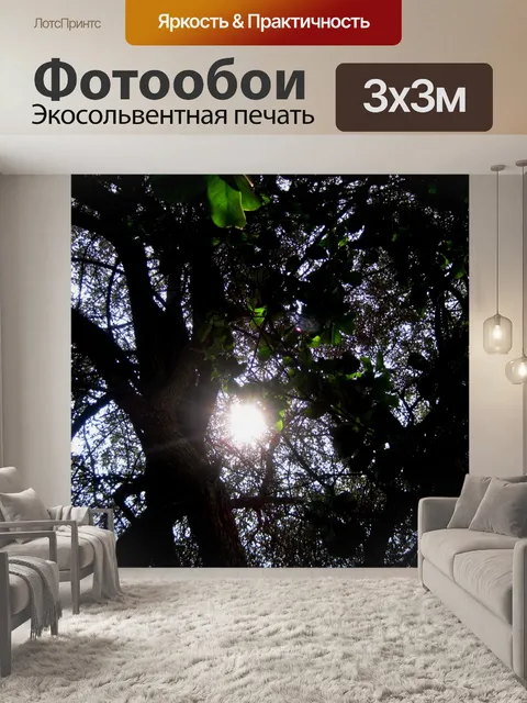 Фотообои Толстая дерева с солнечной подглядывания
