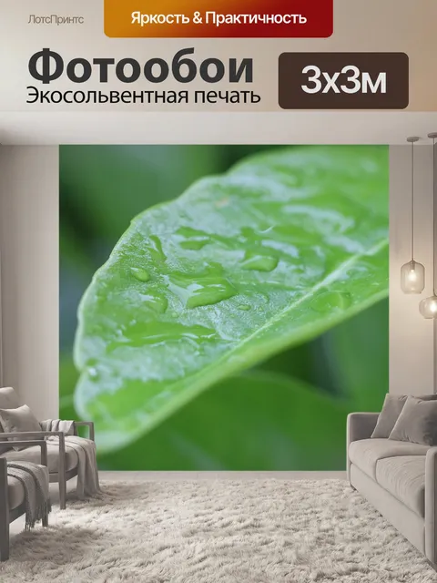 Фотообои Розовый