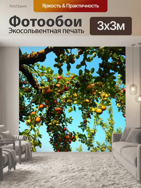 Фотообои Яблоки