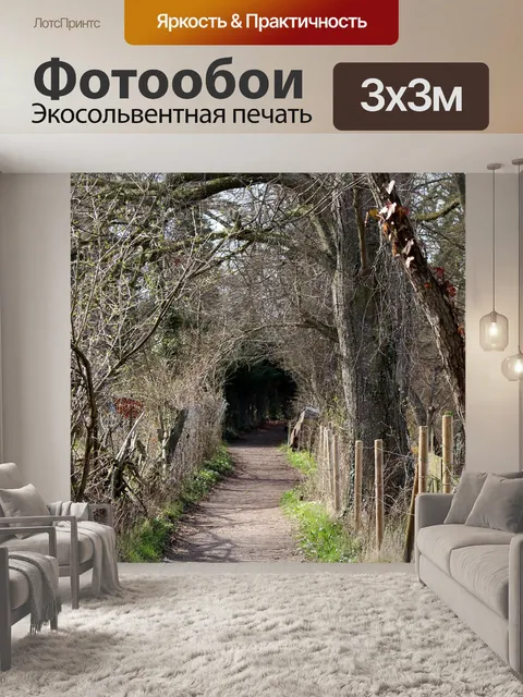 Фотообои Лес