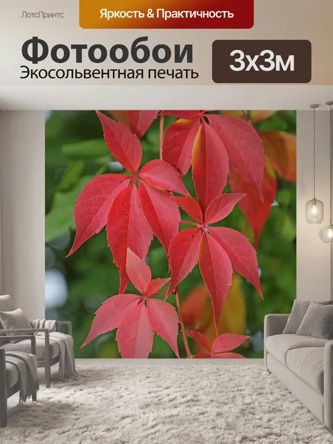 Фотообои Листья