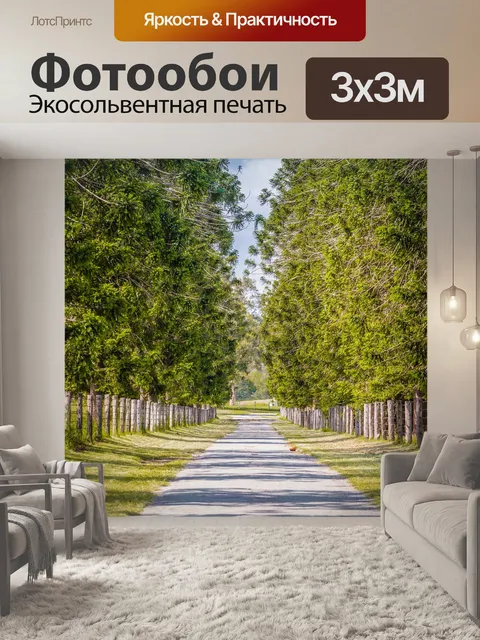Фотообои Дорога