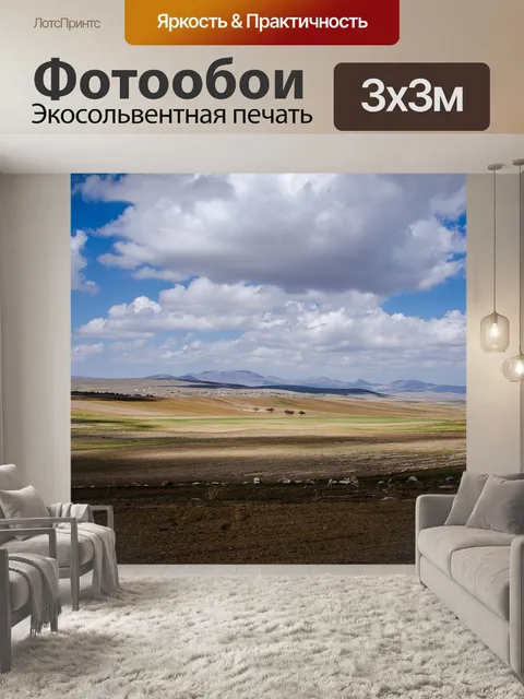Фотообои Деревья