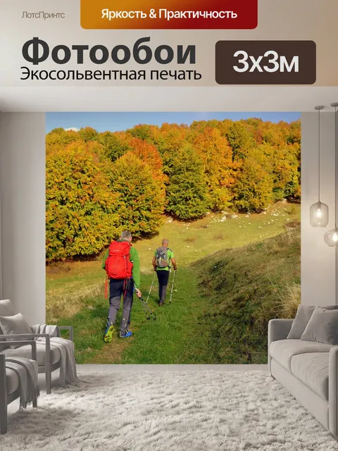 Фотообои Экскурсия